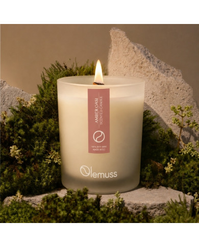 VELA SOYA AMBER OASI 7OZ